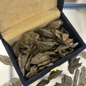 عود كلمنتان